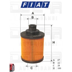 55238304/FIAT