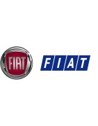 Meta title-FIAT